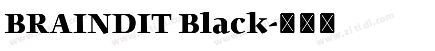 BRAINDIT Black字体转换